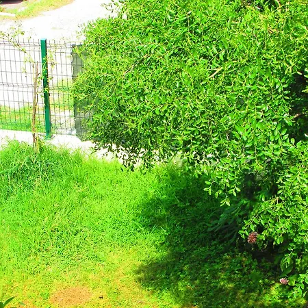 Babylon Villa